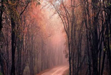 昆明本地私借 线下个人应急借钱 无需抵押当天拿钱